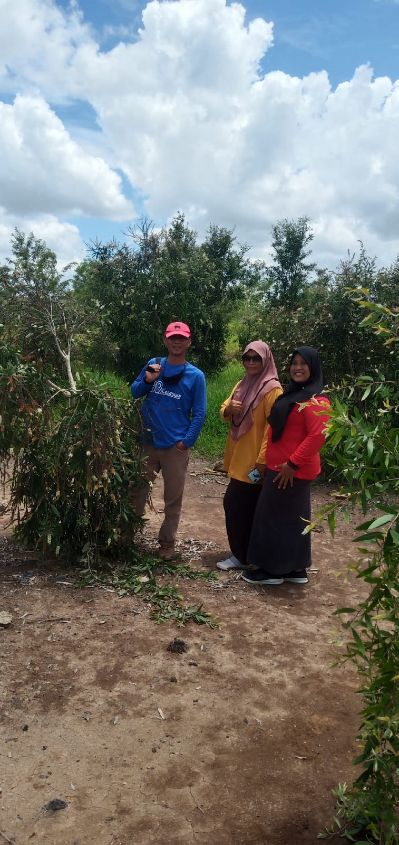 Forkom KPM Lakukan Pengembangan Kapasitas Masyarakat Budidaya Pohon Kayu Putih di Lahan Eks Tambang